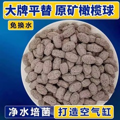 原鉱ラグビーの濾過材の水槽の底は回転箱の細菌の部屋を濾過します。