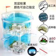 蚂蚁城堡群蚂蚁农场蚂蚁工坊城堡庄园饲养宠物盒子观察笼子幼儿园