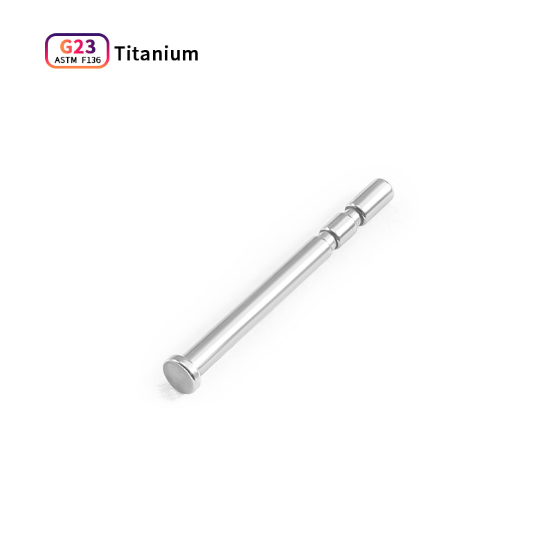 이어스틱 [티타늄 컬러]