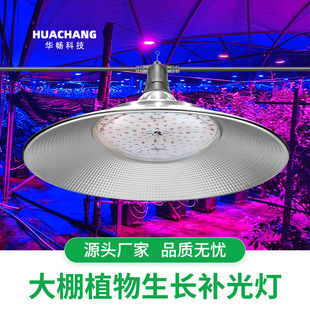 ֲLa50W100WȫVt{ȷˮ늾S