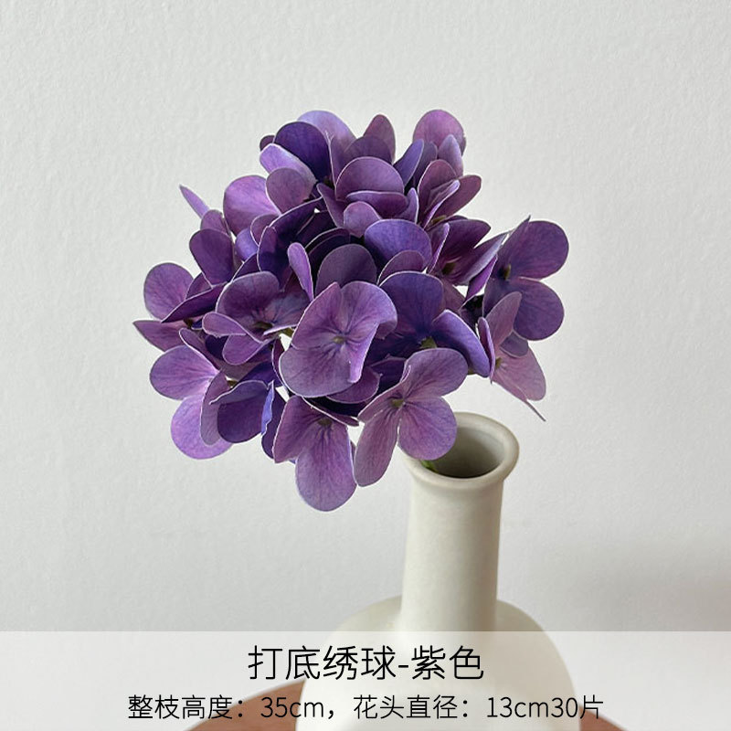 Hortensia de fondo púrpura