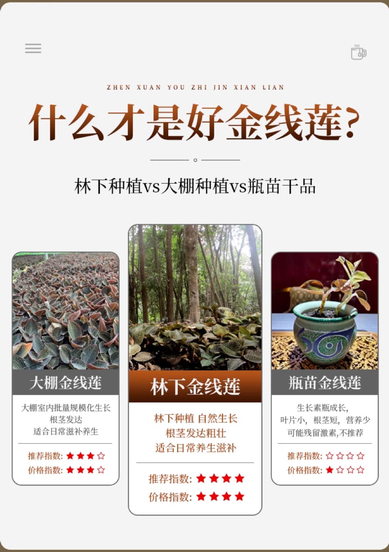 Anoectochilus Dried Whole Plant Tea 250g Fujian Jinxianlian Gift Box specifications