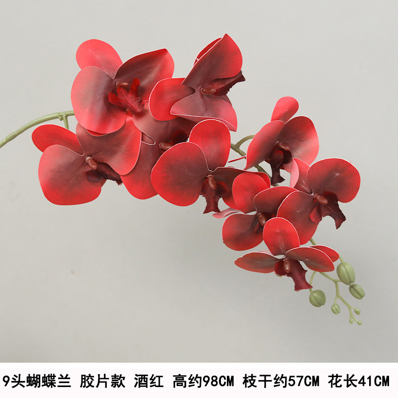 9-head film waterproof phalaenopsis-burgundy "thickened"