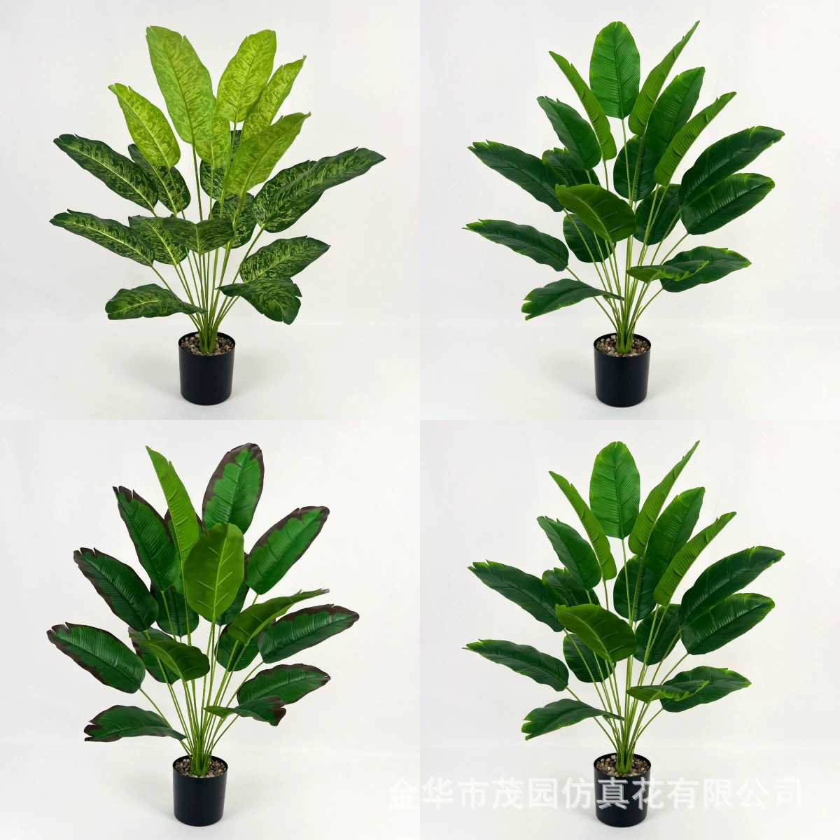 Моделирование зеленых растений с банановыми листьями