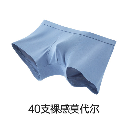 Lenzing Modal Men's Underwear Antibacterial Crotch Mid-waist Seamless Breathable Morandi Boys Men's Boxer Briefs Men's
