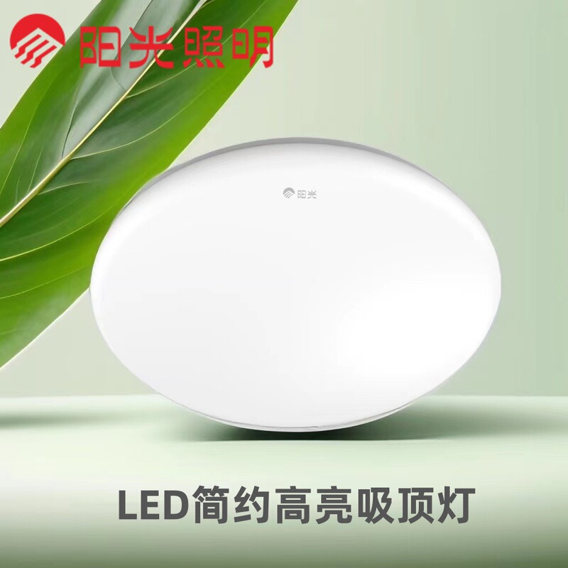 Sunshine Lighting led ceiling lamp bedroom lamp modern simple living room lamp balcony aisle lamp round lamp lighting