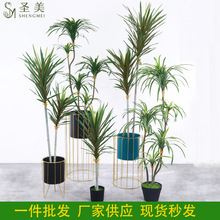 �F؛����ֲ������F���߅��Ѫ�䱱�W�Ҿ��҃ș�����ؼپGֲ�b�