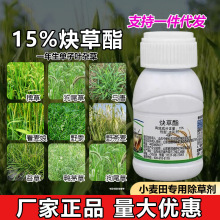 15%炔草酯脂小麦田苗后专用除草剂一年生单子叶杂草禾本科除草剂