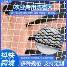 防雹网 农场果园防鸟网果蔬花卉养殖聚乙烯高密度防雹网 冰雹网