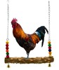 Large parrot Qiuqian Pet Chicken Chickens Chicken Boys Park Pepper Pepper Stand Stick Qiuqian Plaws to relieve stuffy claws