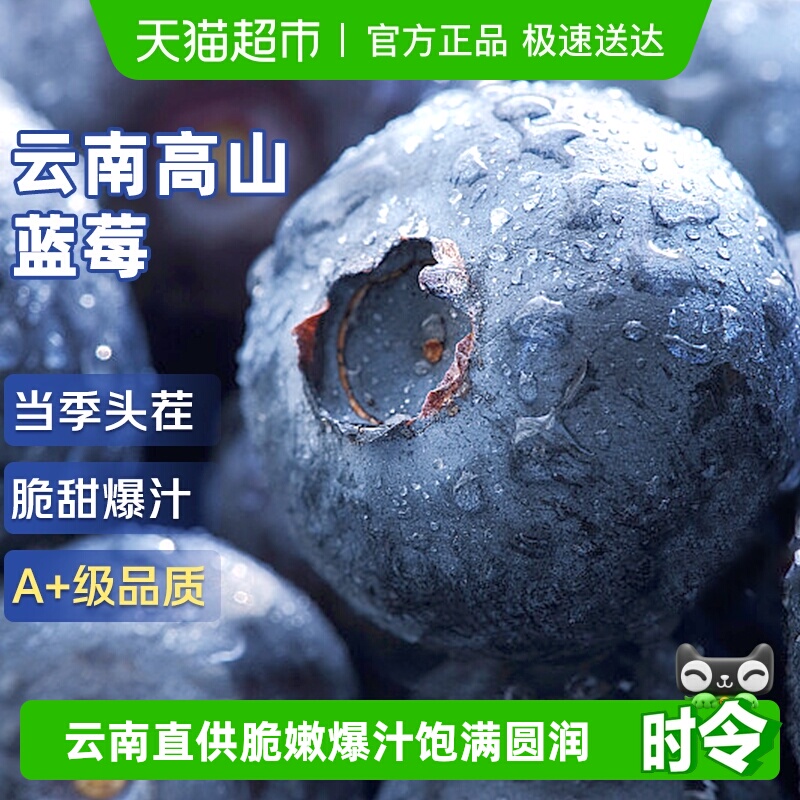 Yunnan Blueberry Fresh Fruit Special Gift Box Seasonal High Mountain L25 Floral Fresh Fruit for Pregnant Women Whole Box of Blue Plums Yunnan Blueberry Fresh Fruit Special Gift Box Seasonal High Mountain L25 Floral Fresh Fruit for Pregnant Women Whole Box of Blue Plums