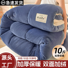 跨境电商爆款秋冬羊羔绒被子棉被双面加绒加厚塔芙绒牛奶绒被芯双