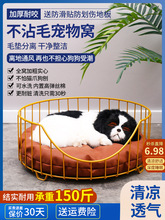 CFˇﴲҧļͨ؈˯|ճëɲϴСȮ