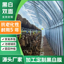 �ڰ�Ĥ�Ӻ��Bֳ���ﷴ�����Ĥʳ�þ�����ꖷ���S�ҼӺ�����