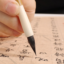 ڼϺСëPݽwWRġ`wëP