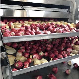 桃子锁鲜冻干机 铁皮石斛鹿茸商用低温冻干机 冻干保留营养成分