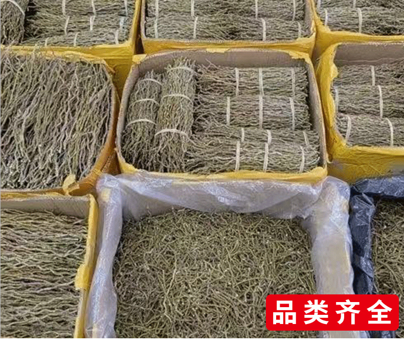 Tie Pi Shi Hu Dried Dendrobium Stems 500g for Tea and Soup specifications