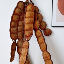 ֲ���ʵ������������װ��ƽ�����������Ә}��Ȼ�ɻ����Կռ�걾
