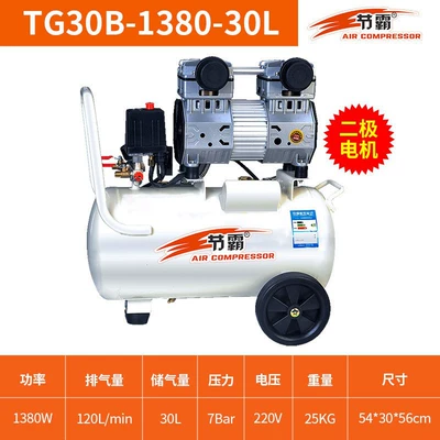 Compressor Small 68030L Oil-Free Air: Hava kompressorları - seeba-tg30b-1380w-30l-secondary-motor