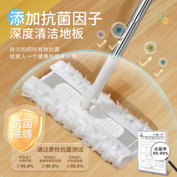 Electric mop