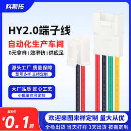 HY端子线带扣2.0间距连接线2P 3P 4P电器电子设备电池线束定制