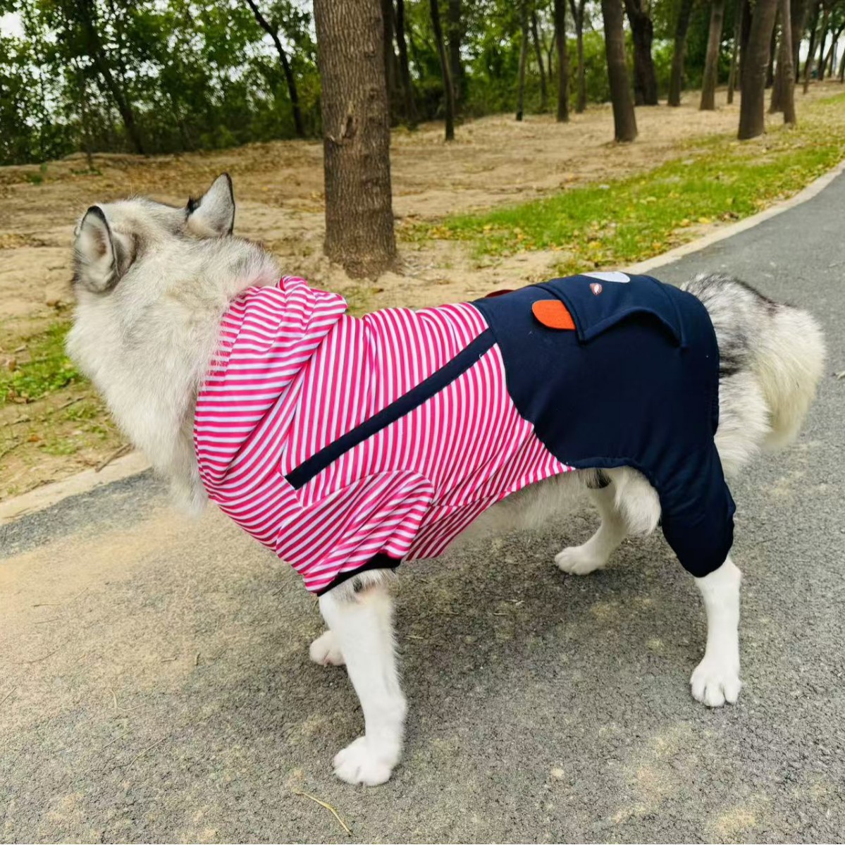 Ropa para perros grandes, ropa de otoño e invierno, ropa para perros, ropa para Teddy, ropa para mascotas, ropa VIP, conjuntos de cuatro patas, Golden Retriever al por mayor.