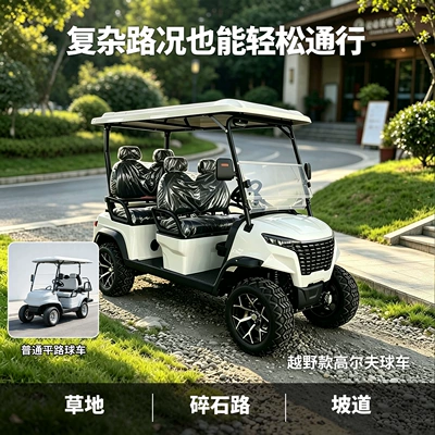 scenic tourist electric sightseeing – Elektrikli qolf avtomobilləri