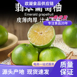 福建翡翠葡萄柚  代发1/9斤当季平和青柚子新鲜应季水果非甜心柚