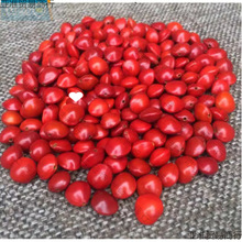 ��Ȼ�t������ԭ����˼�����t���ִ����ɢ��Փ��t������һ�w���