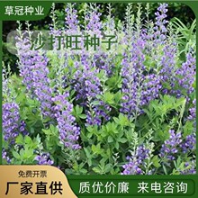 ���lɳ�����N�Ӷ��������ݷN��ţ�����ɳ�����ݷN�Ӳ�ԭ�G����