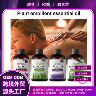 ȫӢ��4��ݱ����w����õ���Ե���޹�²ݱ��ɰ�Ħ���͹��S���N��