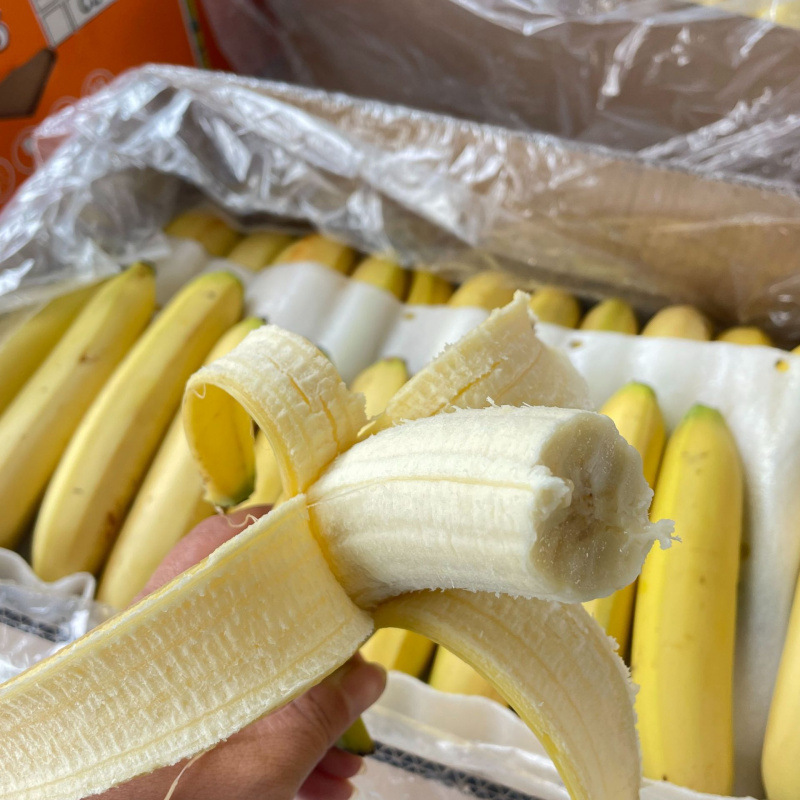 [Strictly Selected] Guangxi Banana Alpine Sweet Fresh Wholesale Fruit Factory 3kg 5kg 5kg Alpine Sweet