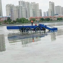 全自动水草打捞船LY2-1000中小型水面清洁船液压河道水葫芦割草船