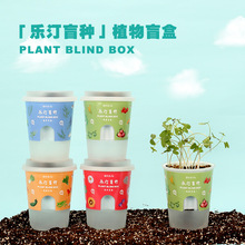 迦農會兒童種植物觀察辦公室小盆栽 diy盲盒花農學生爆款創意禮品