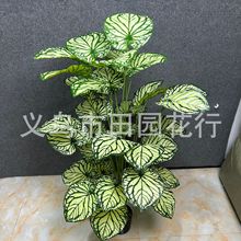 ���R�d�羳temu 1.4��36�^����Gֲ�G�}�������󱱚W�L�͏d�b�