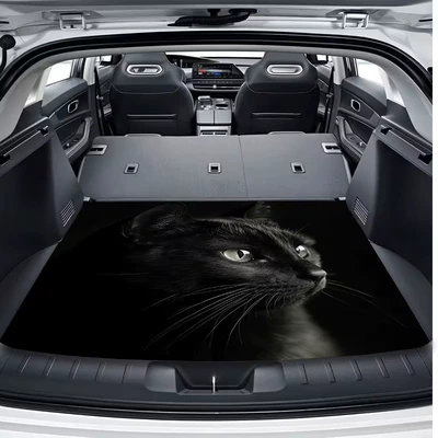 Universal for All Seasons, Water-Absorbent, Avtomobil döşəmə paspasları - ql-trunk-mat-15-75100cm-crystal-velvet-dot-plastic-bottom