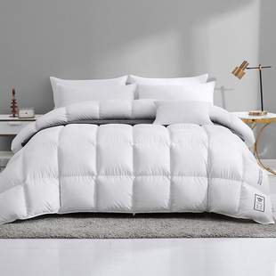 Down quilt core thickened warm white duck down goose down quilt core cotton anti-feather cloth Hilton five-star hotel quilt core
