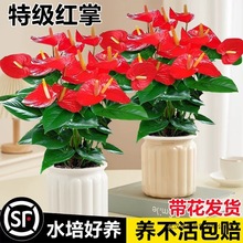 ˮ��t�����Ԏ������\���^һ���L��׻��ļ��_���ܾGֲ���҃Ⱥ��B