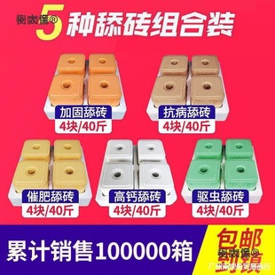 ţ����u40������uţ��u�}�u�}�K������uţ���}�K�������̫��