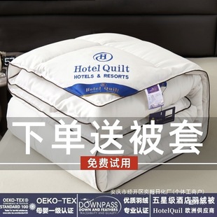 Export white goose down winter padded warm duvet five quilt core spring and autumn quilt winter quilt hotel