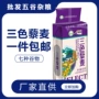 三色特产混合红白粗粮