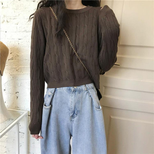 Autumn/Winter White Inner Layer Crew Neck Top 2025 New Korean Style Loose Slimming Broom Flower Long Sleeve Knit Top for Women