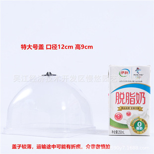 12cm diameter flowerpot cover Yulu fleshy flowerpot cover stuffy moisturizing sowing cuttings square transparent cover
