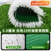 3.0cm, 15-pin, green adhesive, white encrypted version