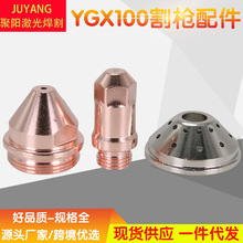 ������YGX100A��ǹYGX100�缫100102����YGX100103 YGX100106
