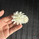 No fire aromatherapy accessories foam flower simulation dried flower perfume aromatherapy rattan decorative fake flower wholesale