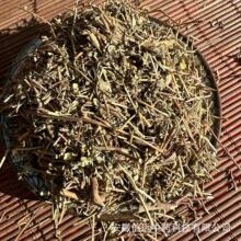 �����h����ș�ĵ��\�݄e��ѪҊ����֭�ݼtɏ���F���R�X�{С�t���