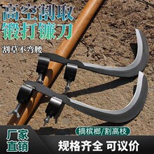 ���Ƶ�砵��i��r���ո�ݵ�砵��^��������砵������ո���������