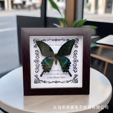������˱���� �Wʽ�b�DIY�͹����[̨�Ҿ��b����նY��YƷ