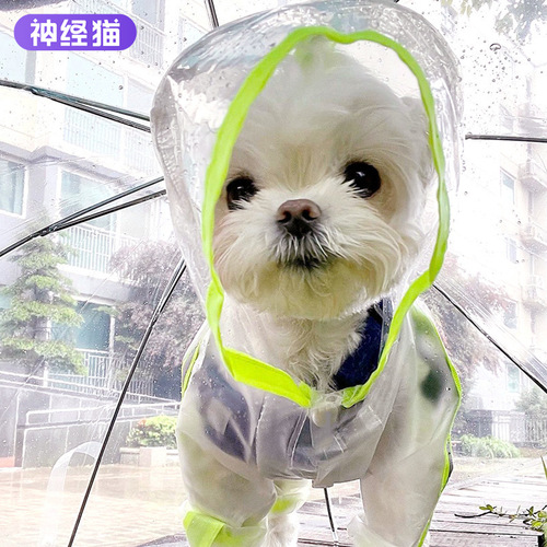 Pet raincoat fluorescent transparent matte four-legged waterproof full cover Teddy medium small dog raincoat clothing